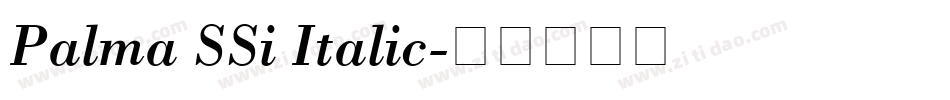 Palma SSi Italic字体转换